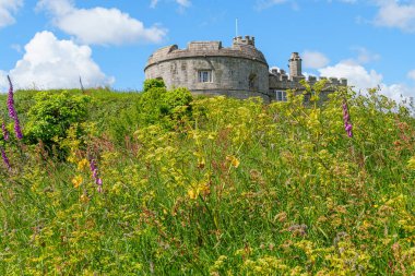 Cornwall 'daki Falmouth şehri.