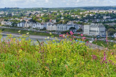 Falmouth şehri Cornwall 'da