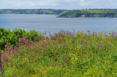 Falmouth şehri Cornwall 'da