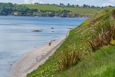 Falmouth şehri Cornwall 'da