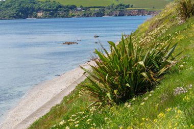 Falmouth şehri Cornwall 'da