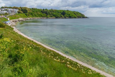 Falmouth şehri Cornwall 'da