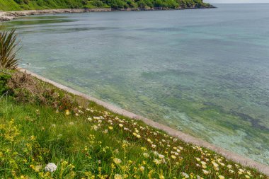 Falmouth şehri Cornwall 'da