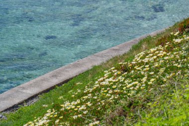 Falmouth şehri Cornwall 'da