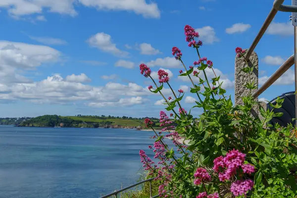 Cornwall 'daki Falmouth şehri.