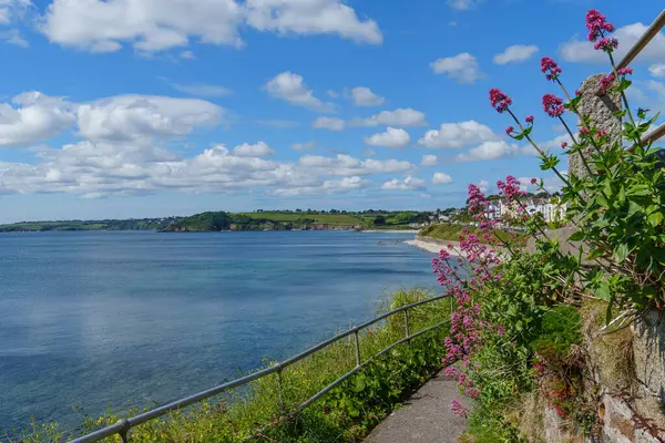 Cornwall 'daki Falmouth şehri.