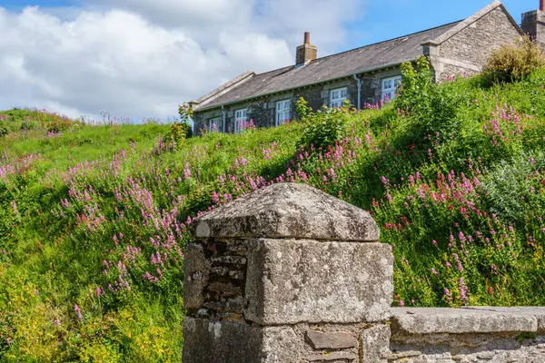 Cornwall 'daki Falmouth şehri.