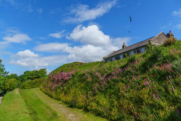 Cornwall 'daki Falmouth şehri.