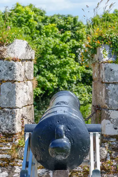 Cornwall 'daki Falmouth şehri.