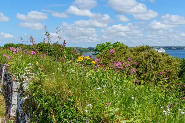 Cornwall 'daki Falmouth şehri.