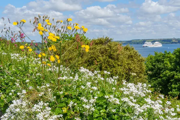 Cornwall 'daki Falmouth şehri.