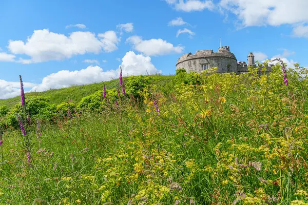 Cornwall 'daki Falmouth şehri.