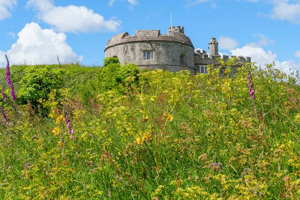 Cornwall 'daki Falmouth şehri.