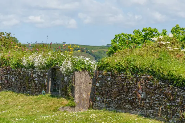 Cornwall 'daki Falmouth şehri.