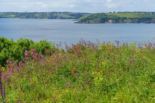 Falmouth şehri Cornwall 'da