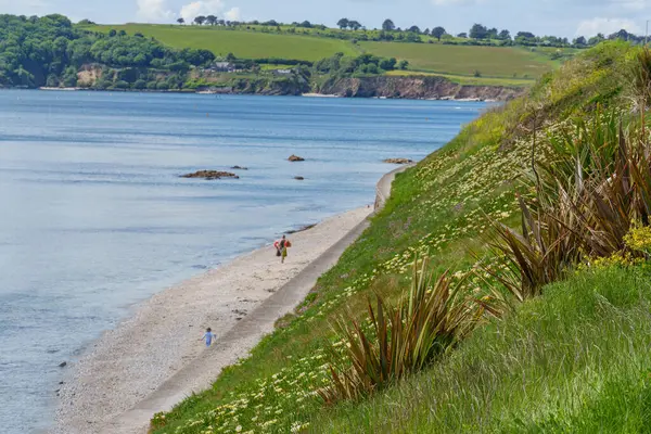 Falmouth şehri Cornwall 'da