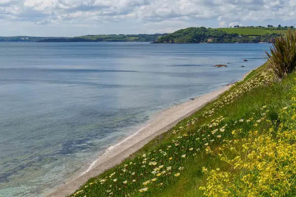 Falmouth şehri Cornwall 'da