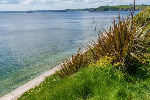 Falmouth şehri Cornwall 'da