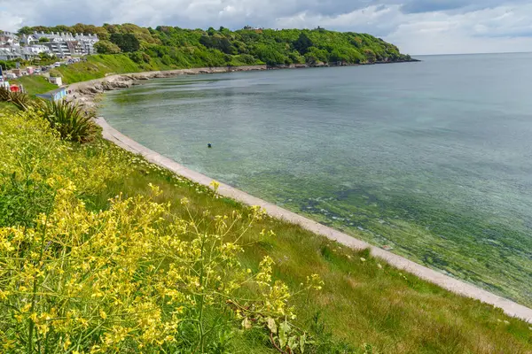 Falmouth şehri Cornwall 'da