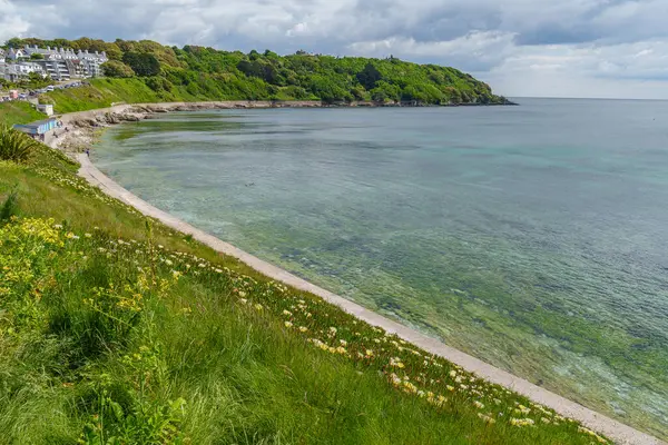 Falmouth şehri Cornwall 'da