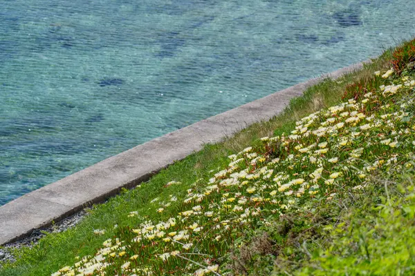 Falmouth şehri Cornwall 'da