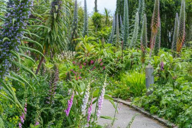 Falmouth şehri Cornwall 'da