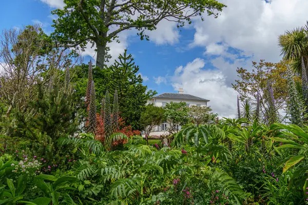 Falmouth şehri Cornwall 'da