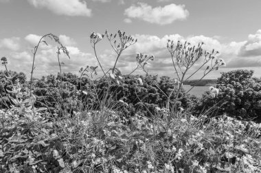 Falmouth şehriyle Cornwall