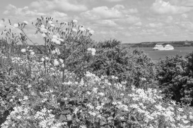 Falmouth şehriyle Cornwall