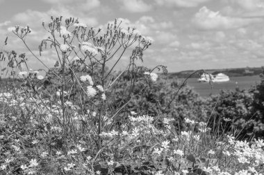 Falmouth şehriyle Cornwall