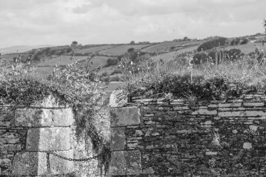 Falmouth şehriyle Cornwall