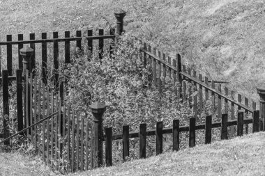 Falmouth şehriyle Cornwall