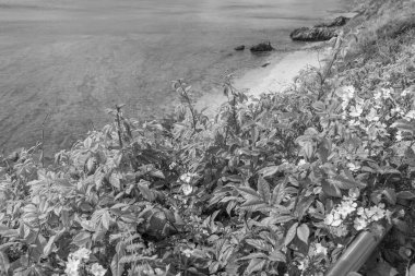 Falmouth şehriyle Cornwall