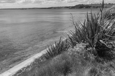 Falmouth şehriyle Cornwall