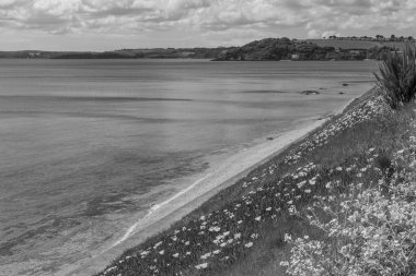 Falmouth şehriyle Cornwall