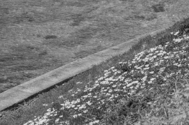 Falmouth şehriyle Cornwall