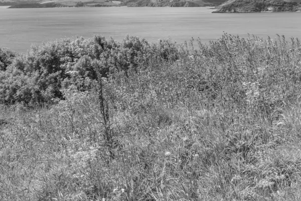 Falmouth şehriyle Cornwall