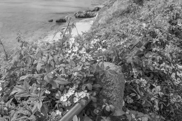 Falmouth şehriyle Cornwall