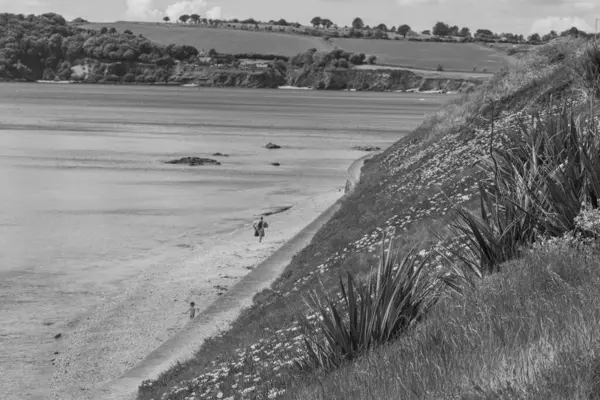 Falmouth şehriyle Cornwall