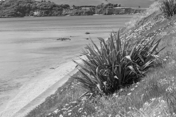 Falmouth şehriyle Cornwall