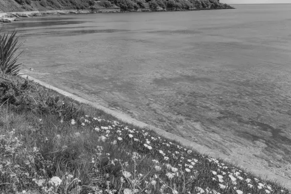 Falmouth şehriyle Cornwall