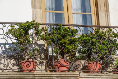 İspanya 'daki Betanzo şehri