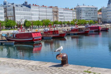 İspanyol şehri bir koruna.