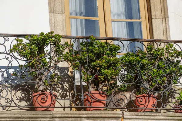 İspanya 'daki Betanzo şehri