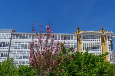 İspanya 'da bir Coruna