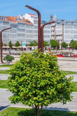 İspanya 'da bir Coruna