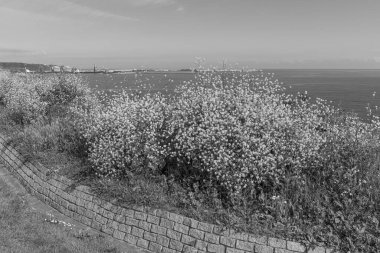 İspanya kıyısındaki Gijon şehri