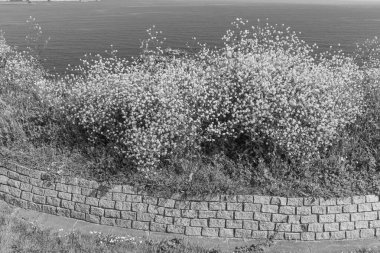 İspanya kıyısındaki Gijon şehri