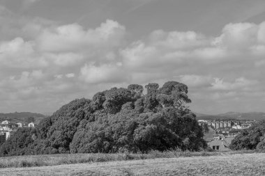 İspanya kıyısındaki Gijon şehri