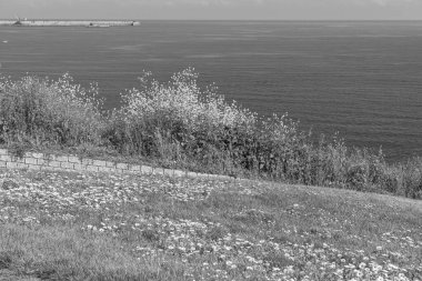 İspanya kıyısındaki Gijon şehri